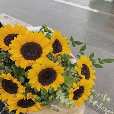 丰田召回部分2022-2024款雷克萨斯LX车型的汽车。