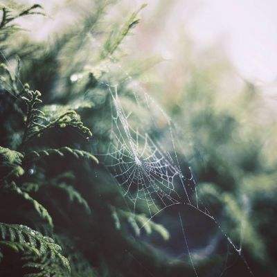 独家评论：七年后再创一个奇迹是北京未来选择